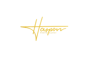 b229d33a f9d7 4342 96f4 d31cb694e959